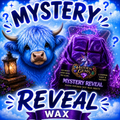 Mystery Reveal Soy Wax Melts