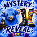 Mystery Reveal Socks