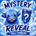 Mystery Reveal 20oz Tumbler