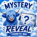Mystery Cosmetic Bag