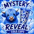 Mystery Reveal Cold Cups